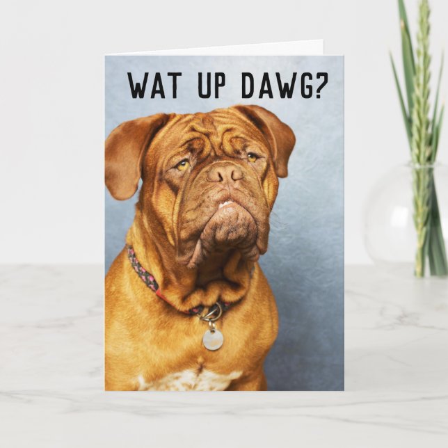MASTIFF DOG THINKING OF YOU FUNNY CARD (Front)