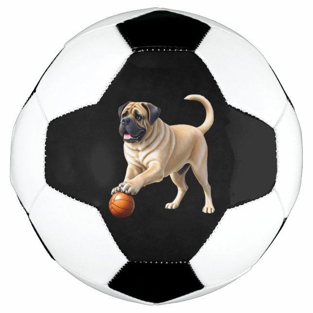 Mastiff English Bulldogge on vacation with ball (Front)