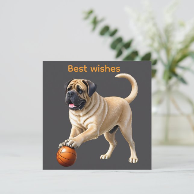 Mastiff English Bulldogge on vacation with ball (Standing Front)