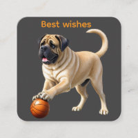 Mastiff English Bulldogge on vacation with ball