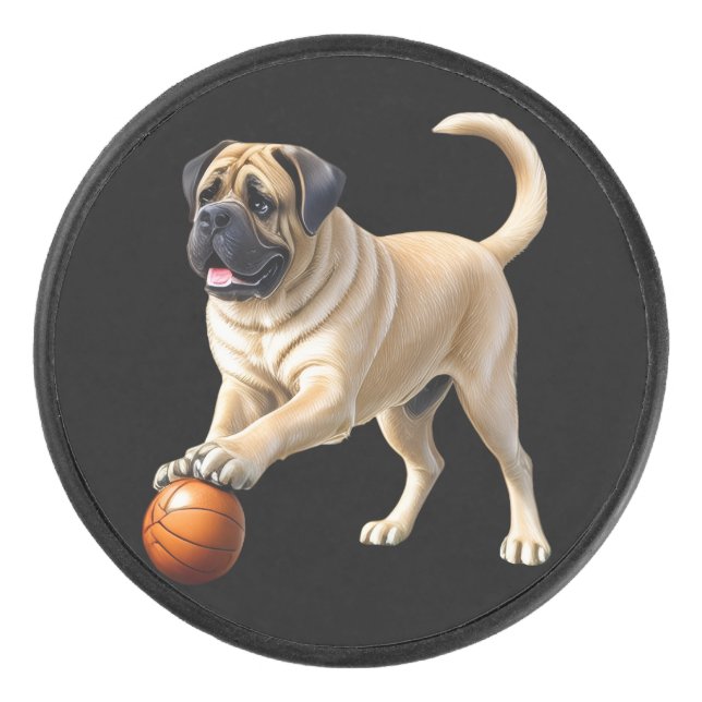 Mastiff English Bulldogge on vacation with ball Hockey Puck (Front)