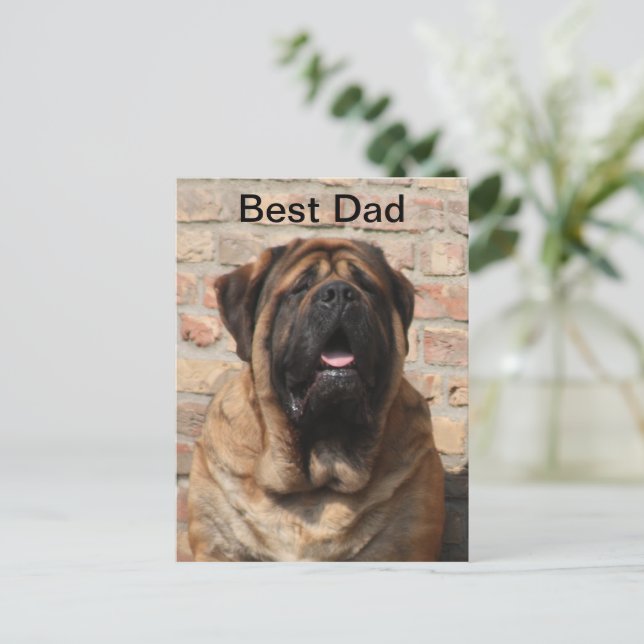 Mastiff English Mastiff Father's Day  Postcard (Standing Front)