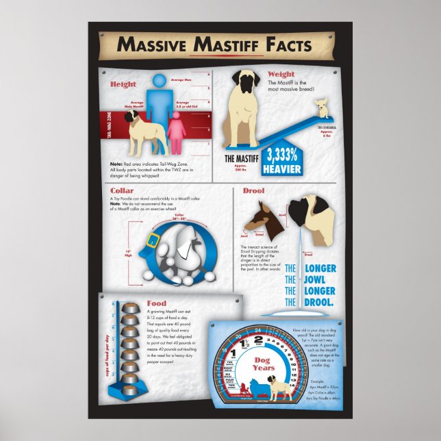 Mastiff Facts Poster (Front)