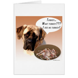 Mastiff (fawn) Turkey