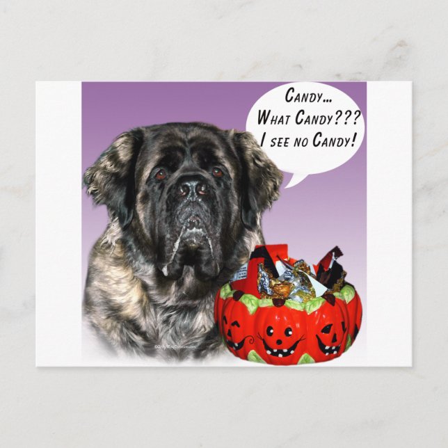 Mastiff (fluffy) Halloween Candy Postcard (Front)