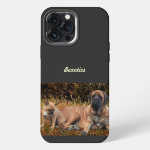 Mastiff mit französischer Bulldogge iPhone 13 Pro Max Case