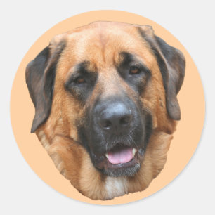 Mastiff Mix Dog Face Sticker