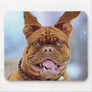 Mastiff Plus Mouse Pad
