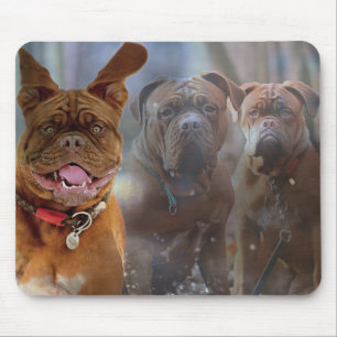 Mastiff Plus Mouse Pad