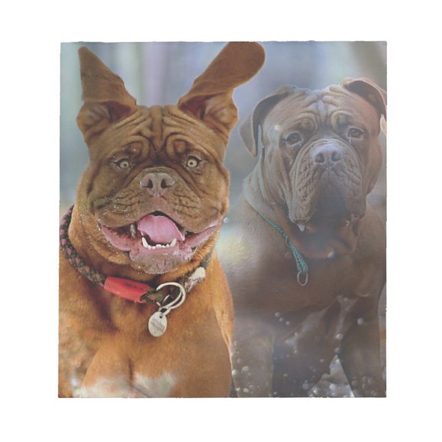 Mastiff Plus Notepad (Front)