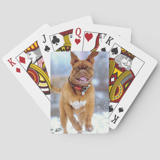 Mastiff Plus Playing Cards (Back)