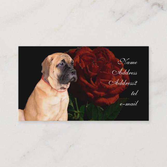Mastiff puppy business card (Front)