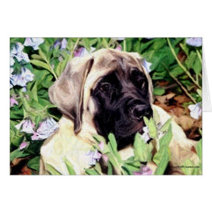 Mastiff puppy in bluebells