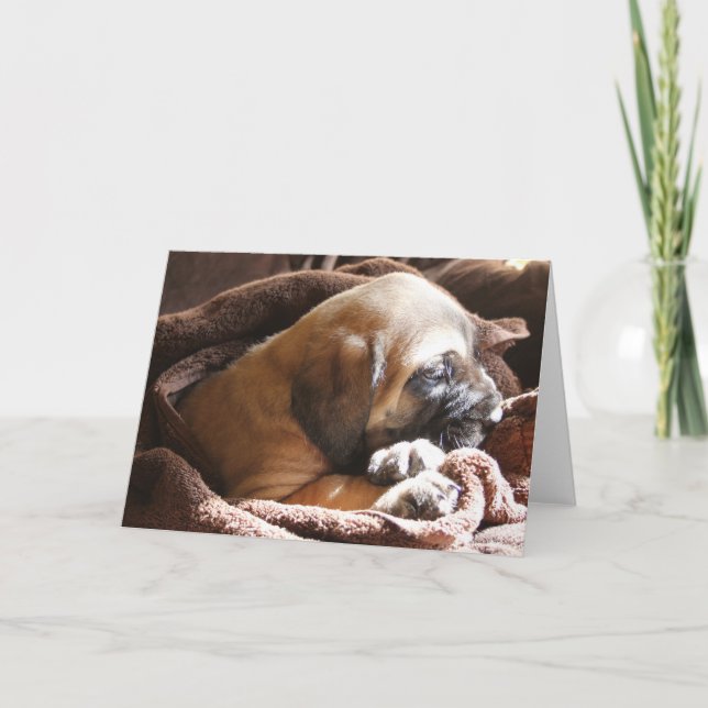Mastiff Puppy "Miss You" card (Front)