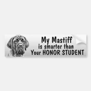 Mastiff smarter than your honour student - funny bumper sticker