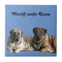 Mastiff Vacation English Mastiff