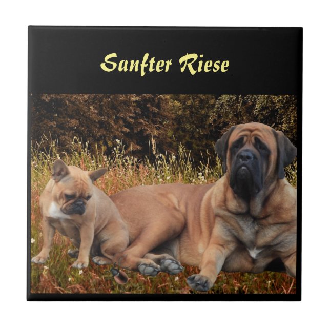 Mastiff Vacation English Mastiff Tile (Front)