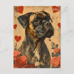 Mastiff Vintage Valentine's Day  Postcard