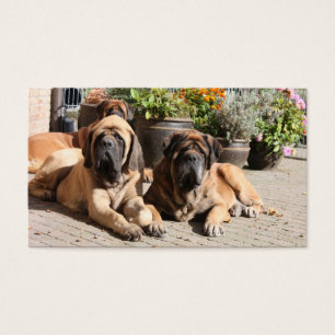 Mastiff Visitenkarten