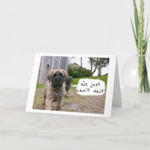 MASTIFF'S JUST CAN'T WAIT TO SAY *HAPPY BIRTHDAY* CARD
