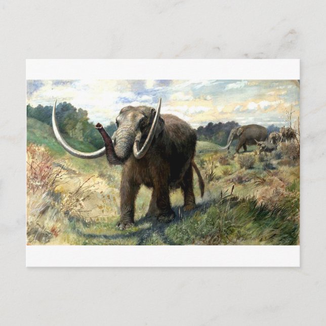 mastodon-1 postcard (Front)