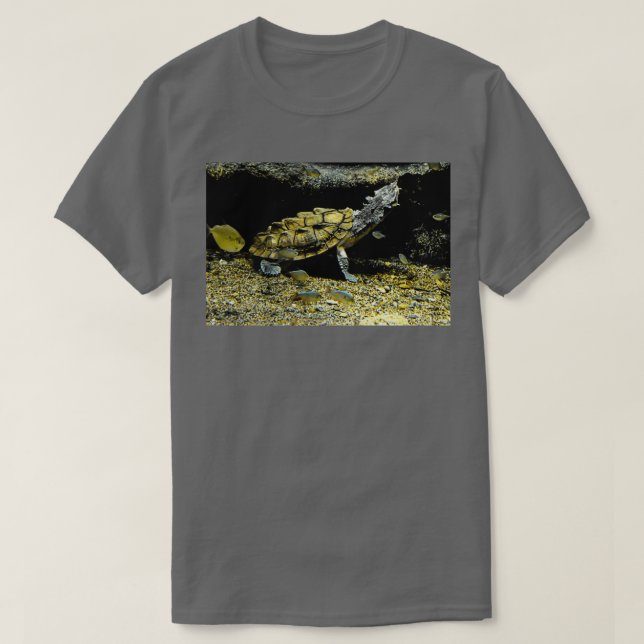 Mata Mata Turtle T-Shirt (Design Front)