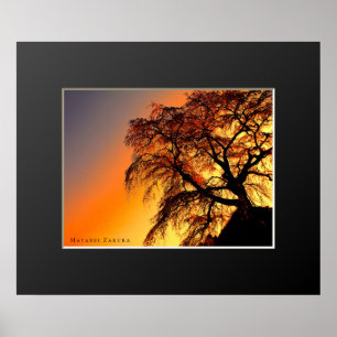 Matabei-Zakura: Weeping Cherry Tree Poster