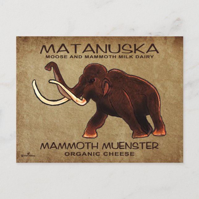 Matanuska Mammoth Muenster Cheese Postcard (Front)