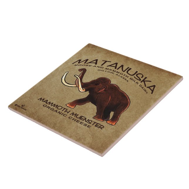 Matanuska Mammoth Muenster Cheese Tile (Side)