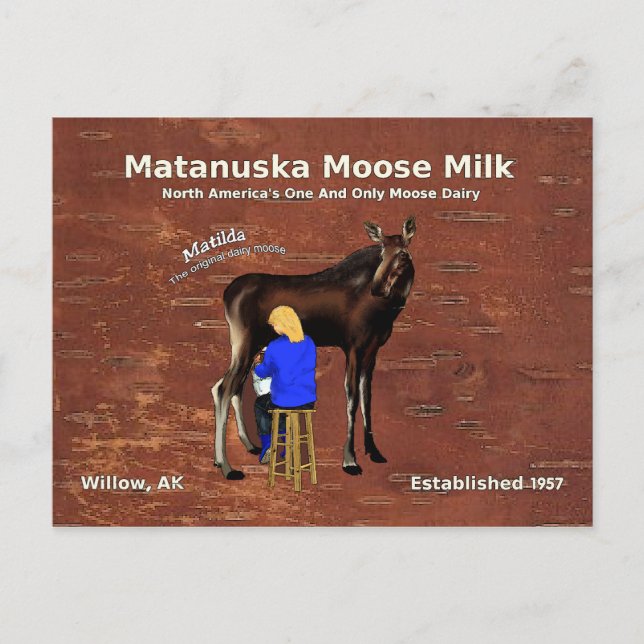Matanuska Moose Milk Postcard (Front)