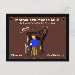 Matanuska Moose Milk Postcard