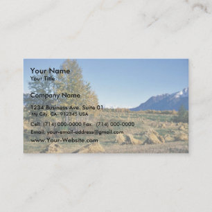 Matanuska Valley Hay Field Business Card