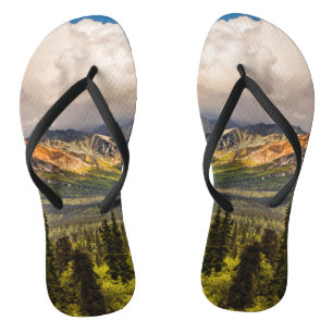 Matanuska valley, southcentral Alaska #2 Jandals