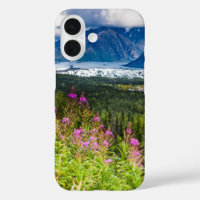 Matanuska Valley, Southcentral Alaska