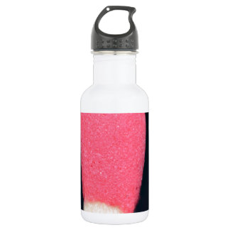 Match Stick "FireStarter" 532 Ml Water Bottle
