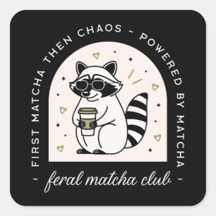 Matcha club racoon lovers funny feral wild animal square sticker