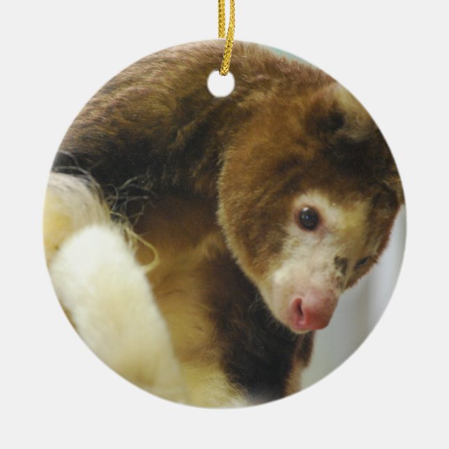 Matchies Tree Kangaroo  Ornament (Front)