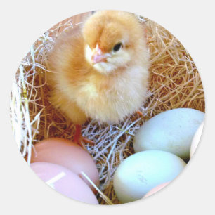 Matching Easter Sticker