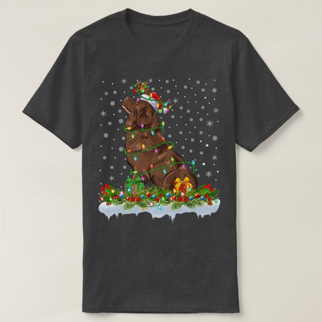 Matching Xmas Lighting Santa Newfoundland Dog Chri T-Shirt (Design Front)