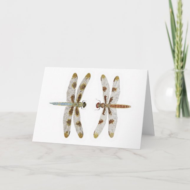 Mated Pair of 12 Spotted Skimmer Dragonflies Card (Front)