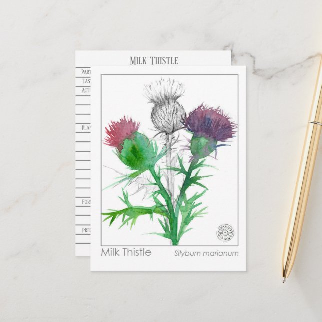Materia Medica Milk Thistle Herbal Study Card (Front/Back In Situ)