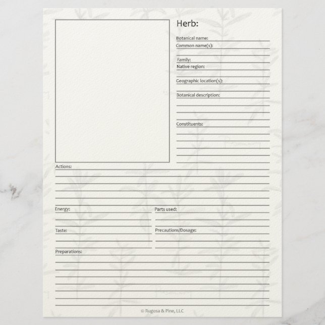 Materia Medica Plant Herbal Study Page Blank Custom Letterhead (Front)