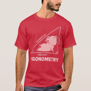 Math Pig Algebra Pigonometry Hypotenuse Mathematic T-Shirt