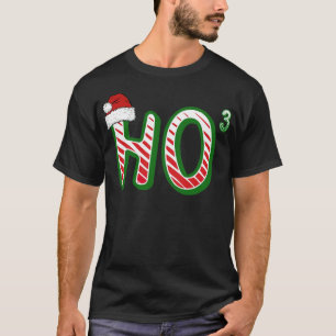 Math Santa Ho gallop animals T-Shirt