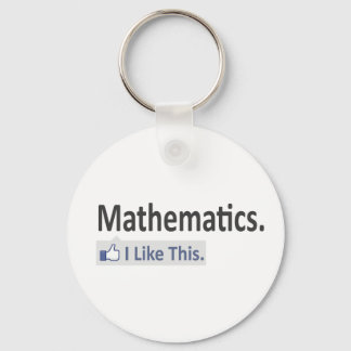 Mathematics...I Like This Key Ring