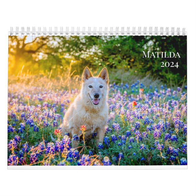 Matilda's 2024 Calendar (Cover)