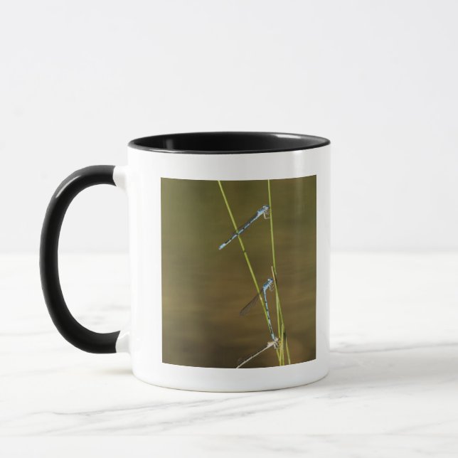 Mating Damselflies Mug (Left)