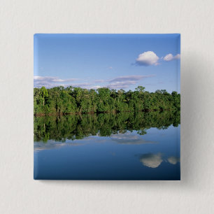 Mato Grosso State, Amazon, Brazil. Forested 15 Cm Square Badge