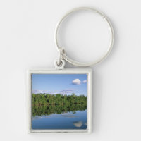 Mato Grosso State, Amazon, Brazil. Forested