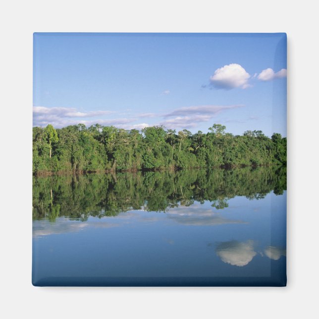 Mato Grosso State, Amazon, Brazil. Forested Magnet (Front)